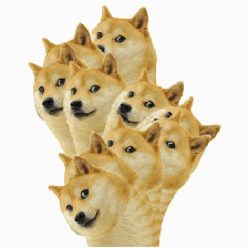 柴犬斜眼表情包doge