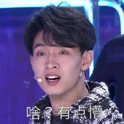  你们一定会爱的表情包邓伦秦霄贤金雪