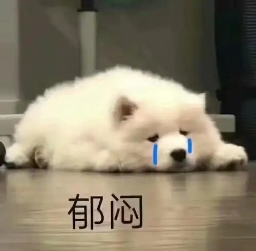  组内有没有本来外向现在社恐的人
