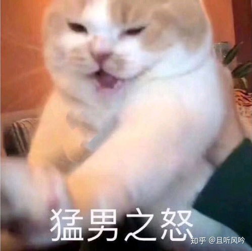  在天津好找男朋友吗