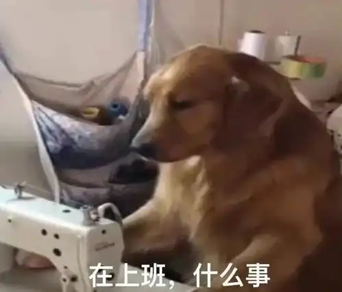  都怪他害老板罚款总裁下课