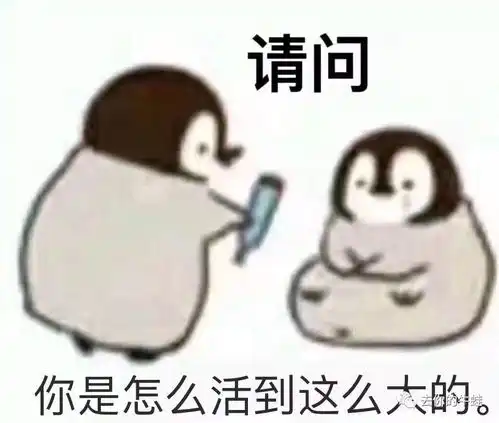  我们为什么对教育这么焦虑