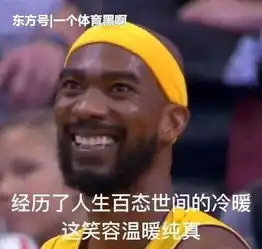  没进过全明星却很讨人喜欢的球员笑曼巴上榜,书豪不仅因为肤色