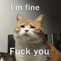  猫猫狗狗表情包微信头像图片大全