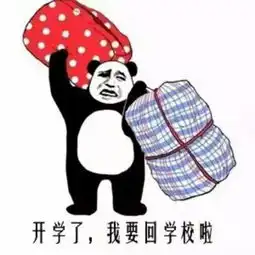 天下亲妈本一家,右医孩纸的妈妈们硬塞进行李箱的一些东西