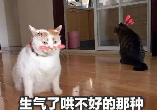  编辑器小表情增加微信图文趣味性