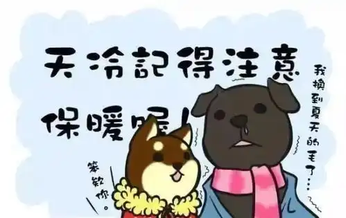  新的一周早上好问候语句子和图片中老年人早晨祝福表情包