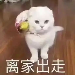  国际庄90后变老的十大特征,你中招了吗