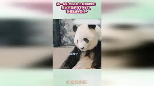  第一次在熊猫脸上看到嫌弃看出来是真不好吃了,好生动的表情