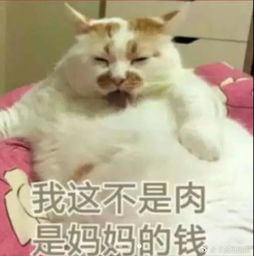  时事委内瑞拉经济崩溃,俄罗斯又一次站了出来