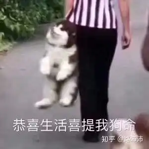  520送女朋友什么礼物