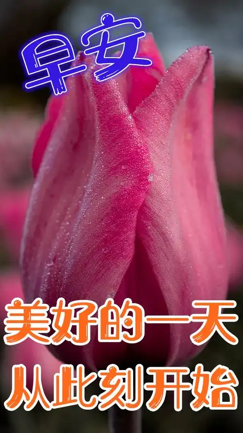  2021年精选祝福,早上好祝福图片,朋友圈温馨祝福
