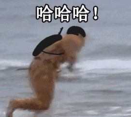老婆你真棒动态表情包鸭