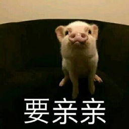  知识贴关于化妆水你的了解有多少呢