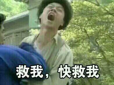  有哪些一秒让人开心的表情包