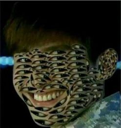  张翰的眼睛是什么意思张翰满脸都是眼睛的图片