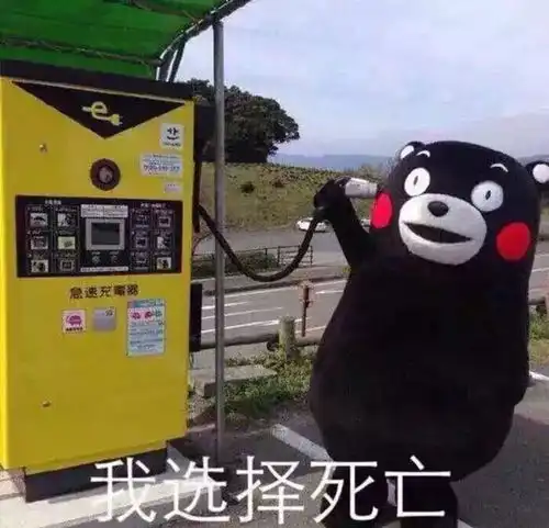  我选择死亡熊本熊表情包