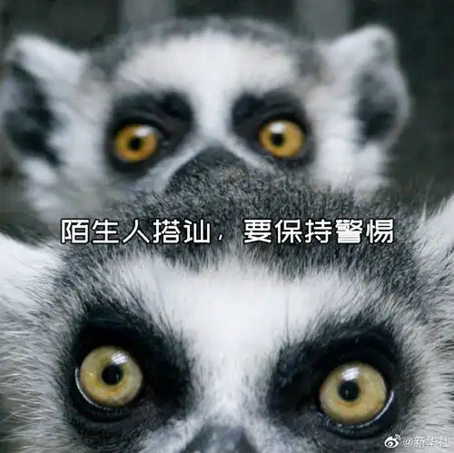 今天母亲节,送你一组护犊情深表情包 今天母亲节,送你一组护犊情深表情包