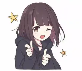 当红明星大料