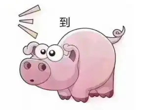  表情包,抖音猪猪套路表情包大全