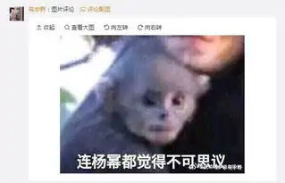  前方高能林更新微博里,那些笑死人不偿命的梗