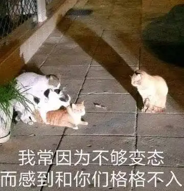 在线表情包沙雕二战