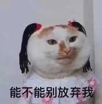  表情橘子味的大甜瓜的想法现在的小老弟都咋回事每天的私信十表情