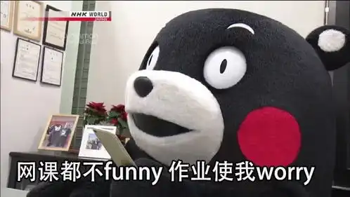  熊本熊表情包人生应该happy,不必苦苦study