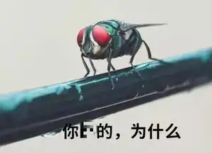  这个满嘴脏话的70年代假面骑士,怎么就突然火了