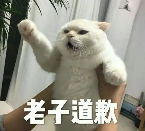  有哪些可以哄女朋友的表情包
