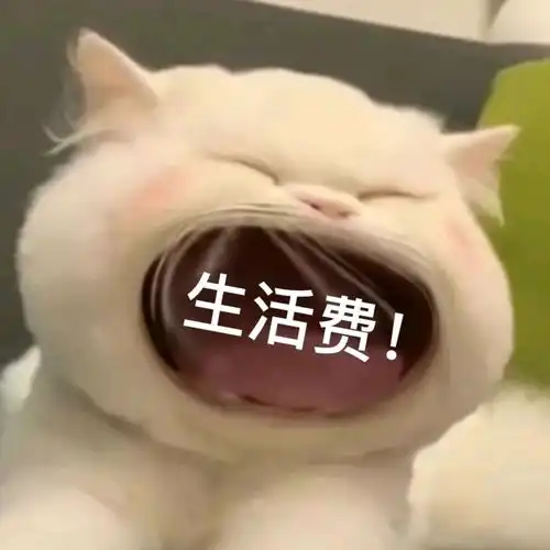  大嘴巴小猫大喊大叫表情包不完全合集
