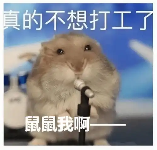 我,30岁,没存款,不打工了长期不上班是怎样的体验  我,30岁,没存款,不打工了长期不上班是怎样的体验