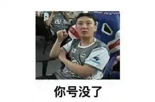  拳头太真实了ig第7套皮肤是王思聪,网友看名称直接买