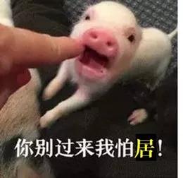  不敢相信90后老阿姨热衷收藏的表情包竟然是这类
