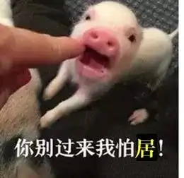  不敢相信90后老阿姨热衷收藏的表情包竟然是这类