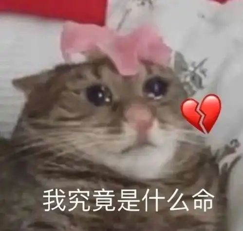 兔子吞脑袋表情包一套奖