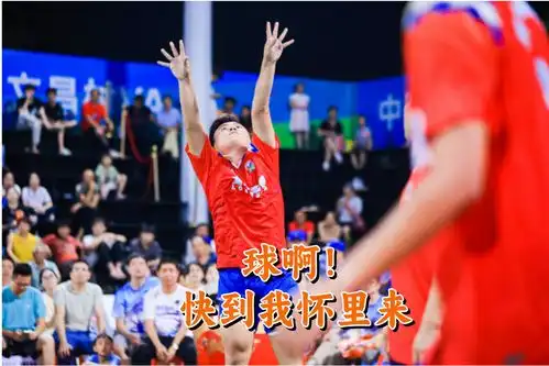  海南村va表情包大放送现场的你,上镜了