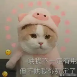  可爱猫咪的表情包我的悲伤大概有这么大