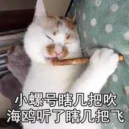  剧方官博diss郑爽流量差,小编披皮黑明星,套路哪家强