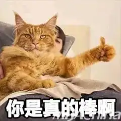 算我求你的表情包猫喵喵