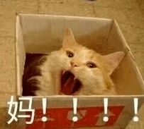  两个一致到底怎么审核自家娃是否符合要求,长春市教育局这样回复