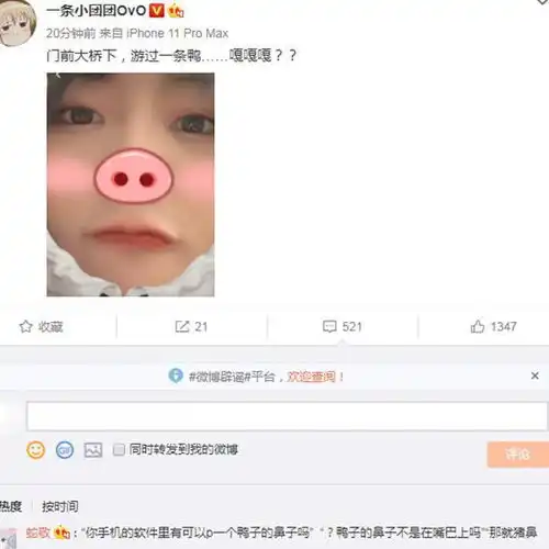  乔碧萝真人出镜后,小团团也砸箱子脸大到照片都放不下