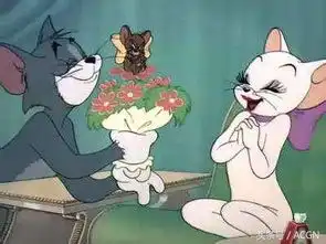  在你们老家猫和老鼠里的猫叫什么假老练还是大洋芋