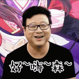 集合完毕的表情包丁磊