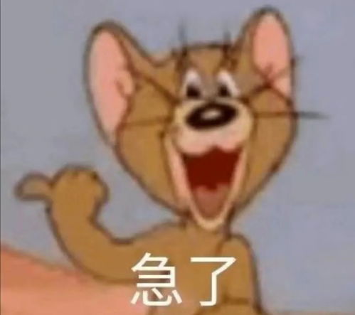  脱口秀大会十二强出炉,双胞胎变三胞胎