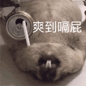  表情包丨你瞅瞅你那德行
