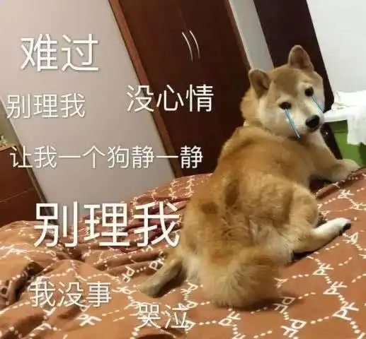  高中数学丨数学不懂关联记忆,学到吐血也白搭提分速进