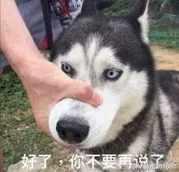  被粉丝发律师函脚踏五只船私联粉丝要钱这位明星还能干出啥