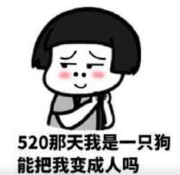  520单身狗表情包,你有520我有502,不是很甜但很黏