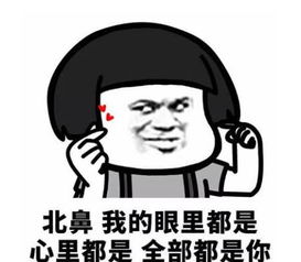 最近很火的表情包熊猫形